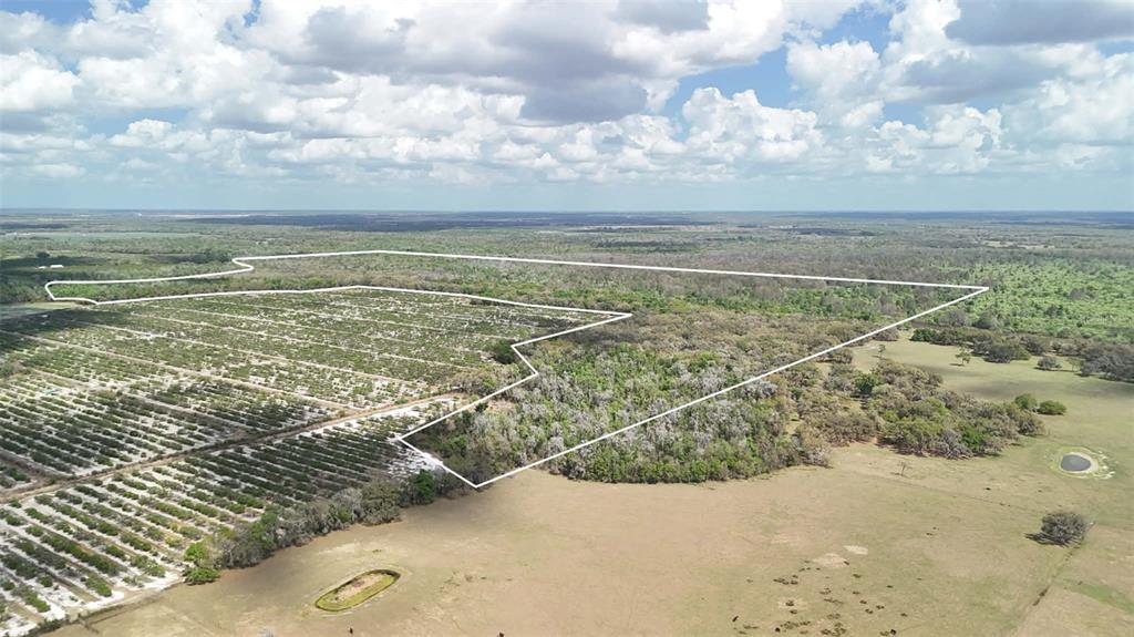 Gillette Road Zolfo Springs, FL 33890 - Photo 64 of 86