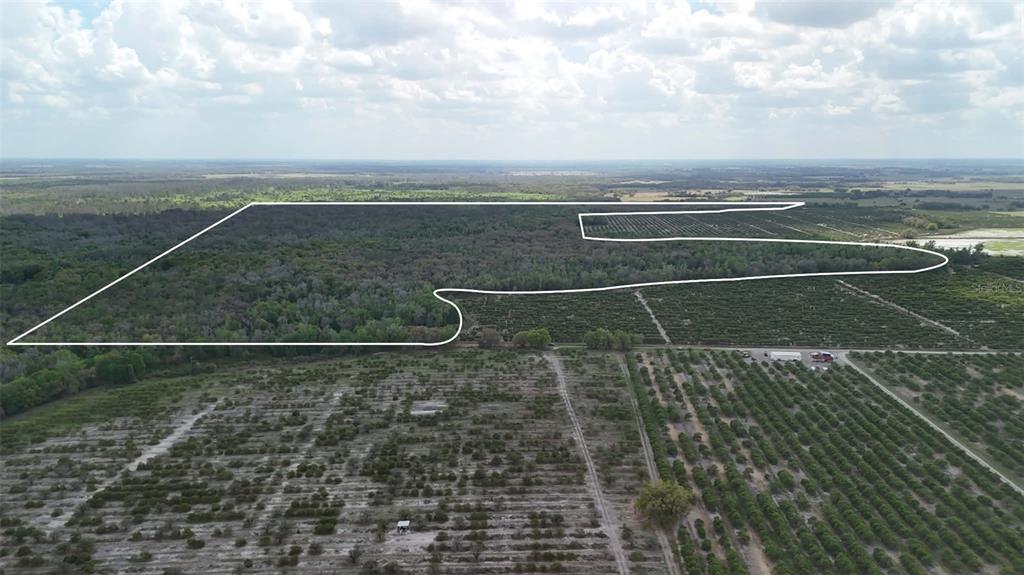 Gillette Road Zolfo Springs, FL 33890 - Photo 65 of 86
