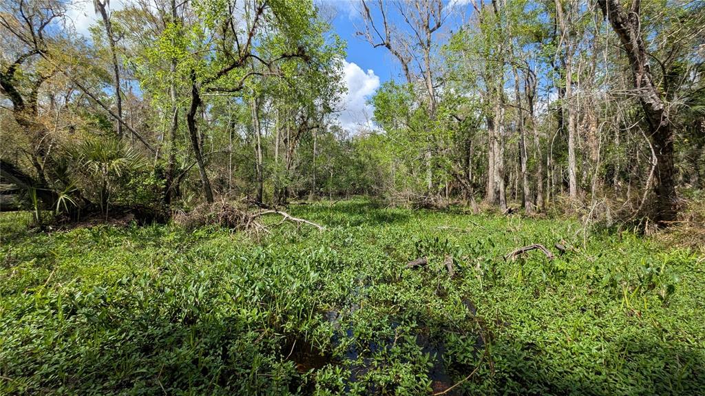 Gillette Road Zolfo Springs, FL 33890 - Photo 68 of 86