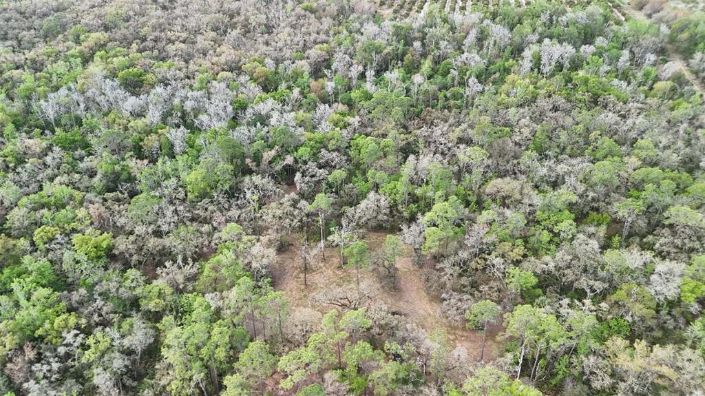 Gillette Road Zolfo Springs, FL 33890 - Photo 70 of 86