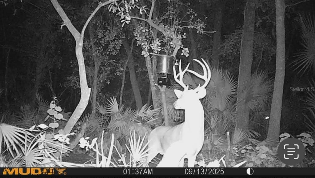 Gillette Road Zolfo Springs, FL 33890 - Photo 81 of 86
