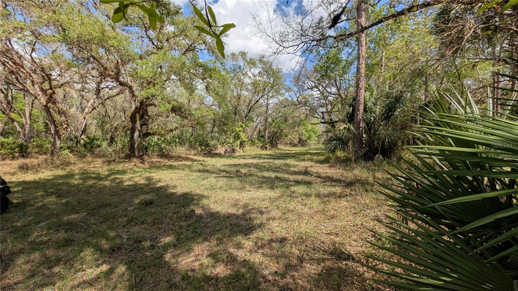 Gillette Road Zolfo Springs, FL 33890 - Photo 9 of 86 a view of backyard with green space