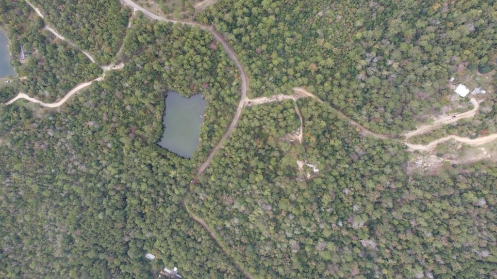 Tbd Pat Fitzmorris Road Bush, LA 70431 - Photo 1 of 6 Gallery Image 1