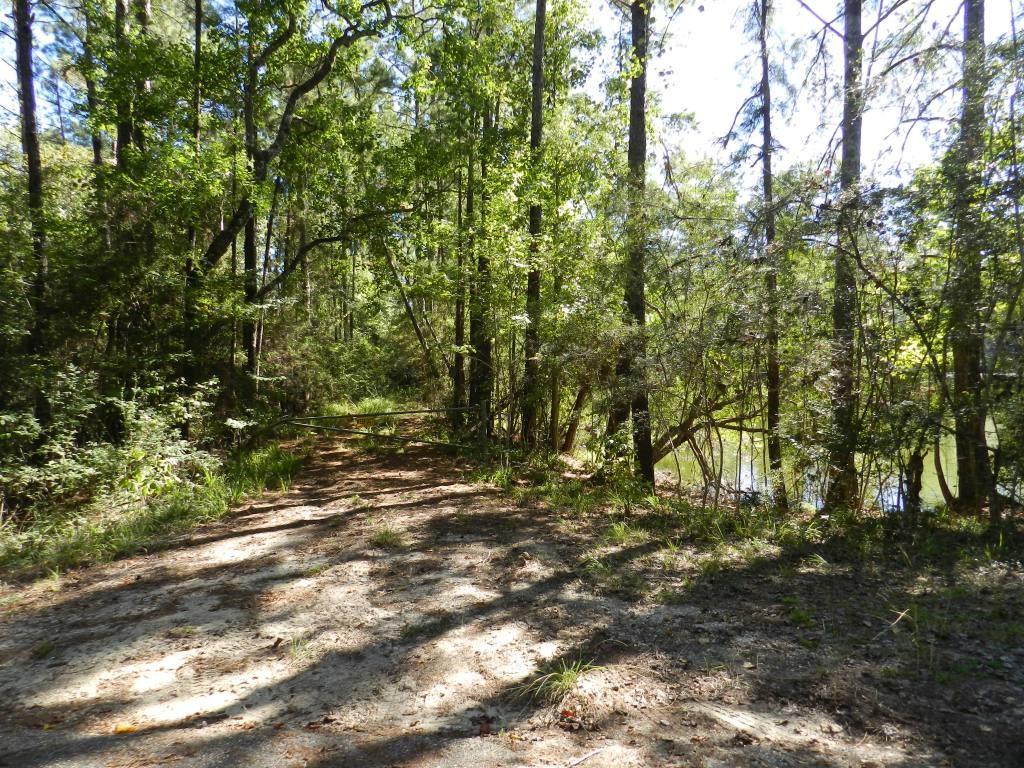 Tbd Pat Fitzmorris Road Bush, LA 70431 - Photo 2 of 6 Gallery Image 2