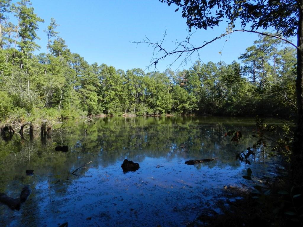 Tbd Pat Fitzmorris Road Bush, LA 70431 - Photo 3 of 6 Gallery Image 3
