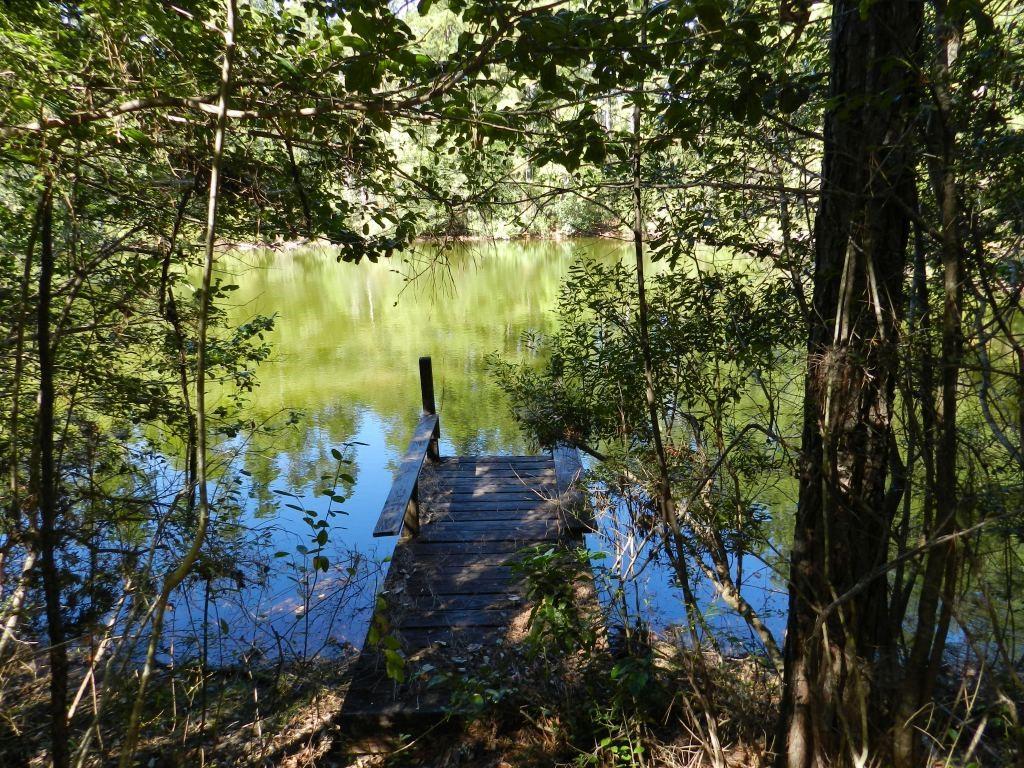 Tbd Pat Fitzmorris Road Bush, LA 70431 - Photo 4 of 6 Gallery Image 4