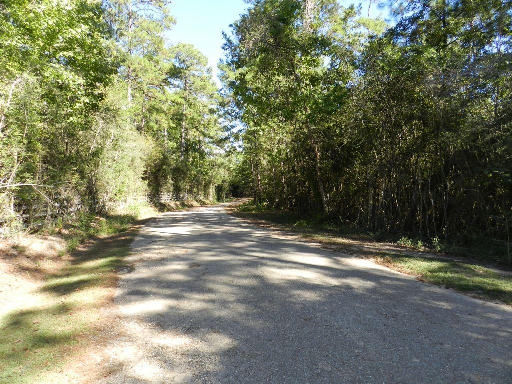 Tbd Pat Fitzmorris Road Bush, LA 70431 - Photo 5 of 6 Gallery Image 5
