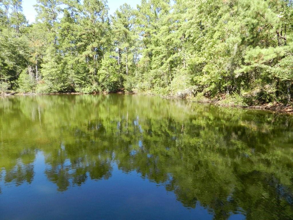 Tbd Pat Fitzmorris Road Bush, LA 70431 - Photo 6 of 6 Gallery Image 6