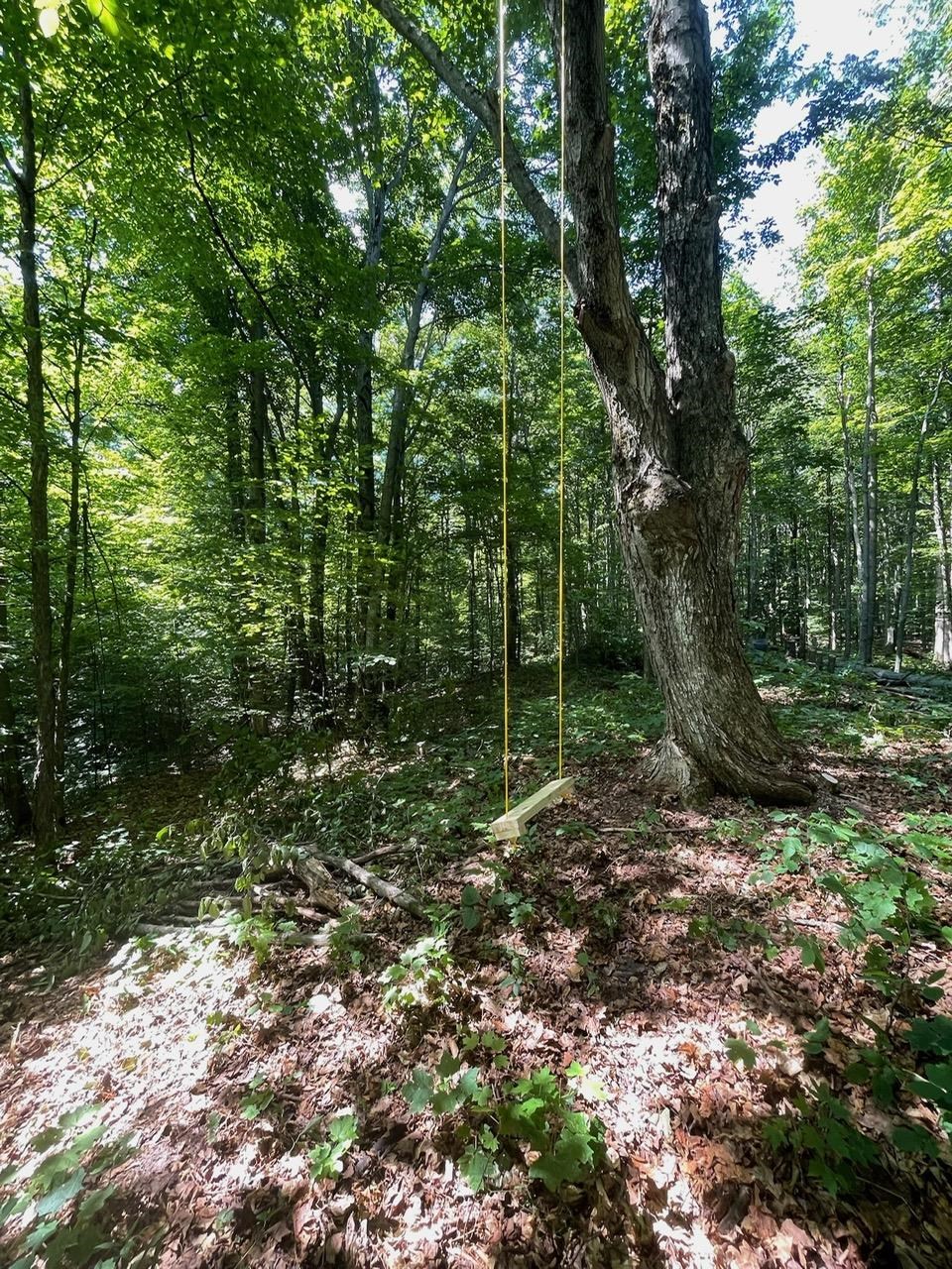 4714 Brubaker Road Petoskey, MI 49770 - Photo 45 of 45 1930502-300a4e68-0fce-4f93-b257-d8b1d76e354e.JPG