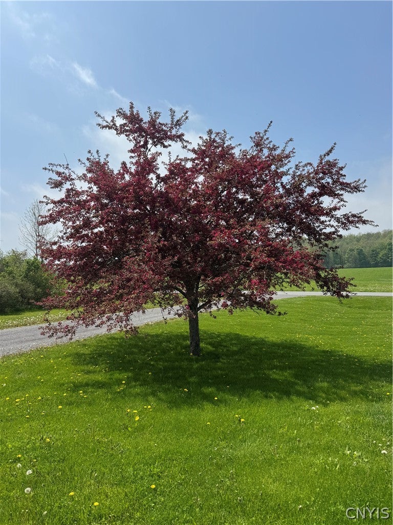 15320 County Rte 66 Adams Center, NY 13606 - Photo 8 of 49 Gallery Image 8