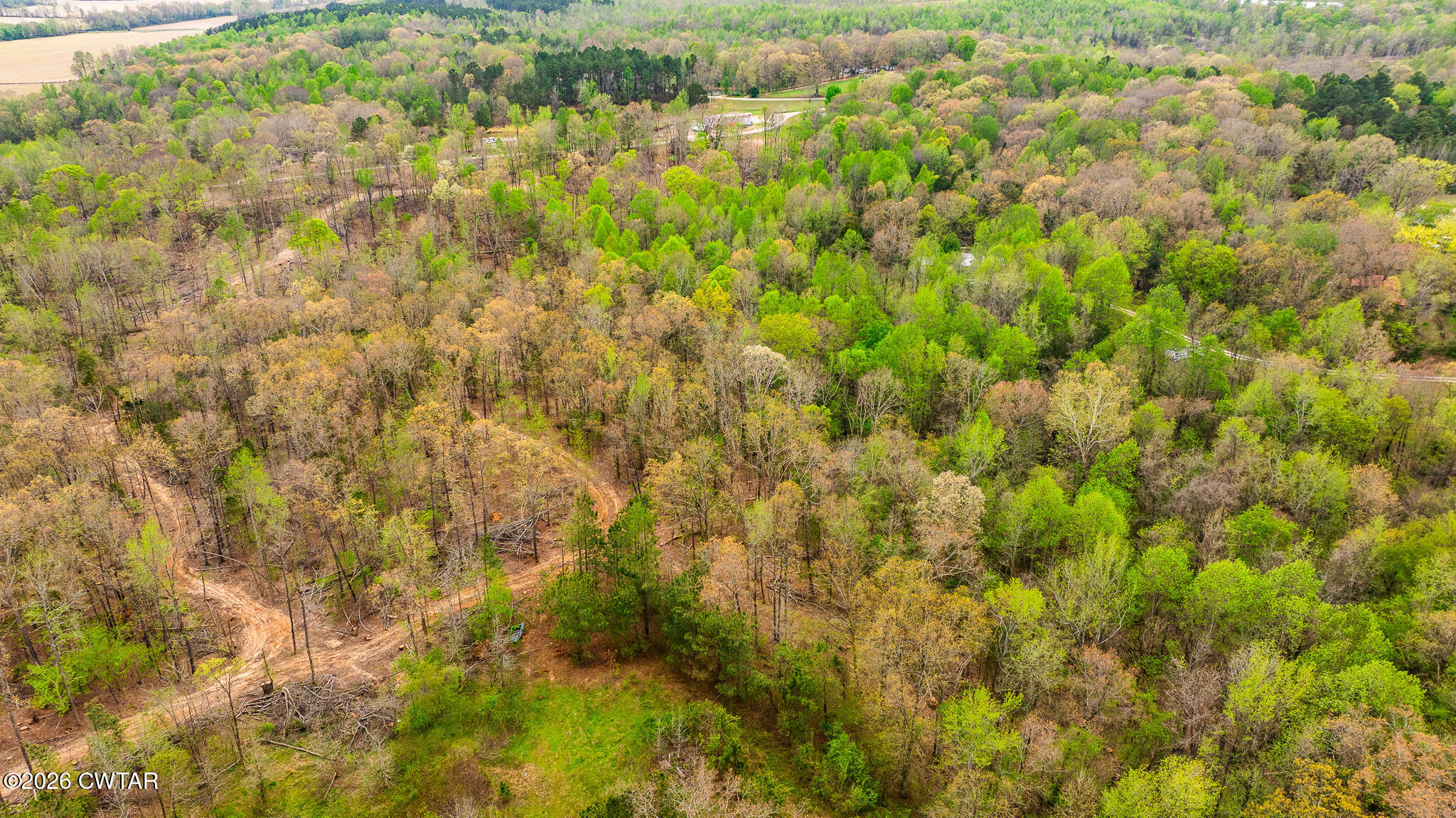 6930 Highway 423 McKenzie, TN 38201 - Photo 6 of 8 a view of a yard