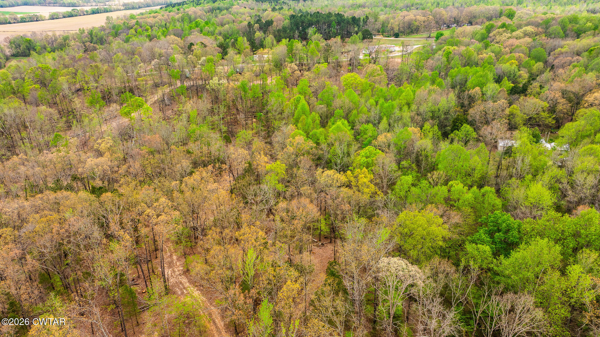 6930 Highway 423 McKenzie, TN 38201 - Photo 7 of 8 a view of a yard