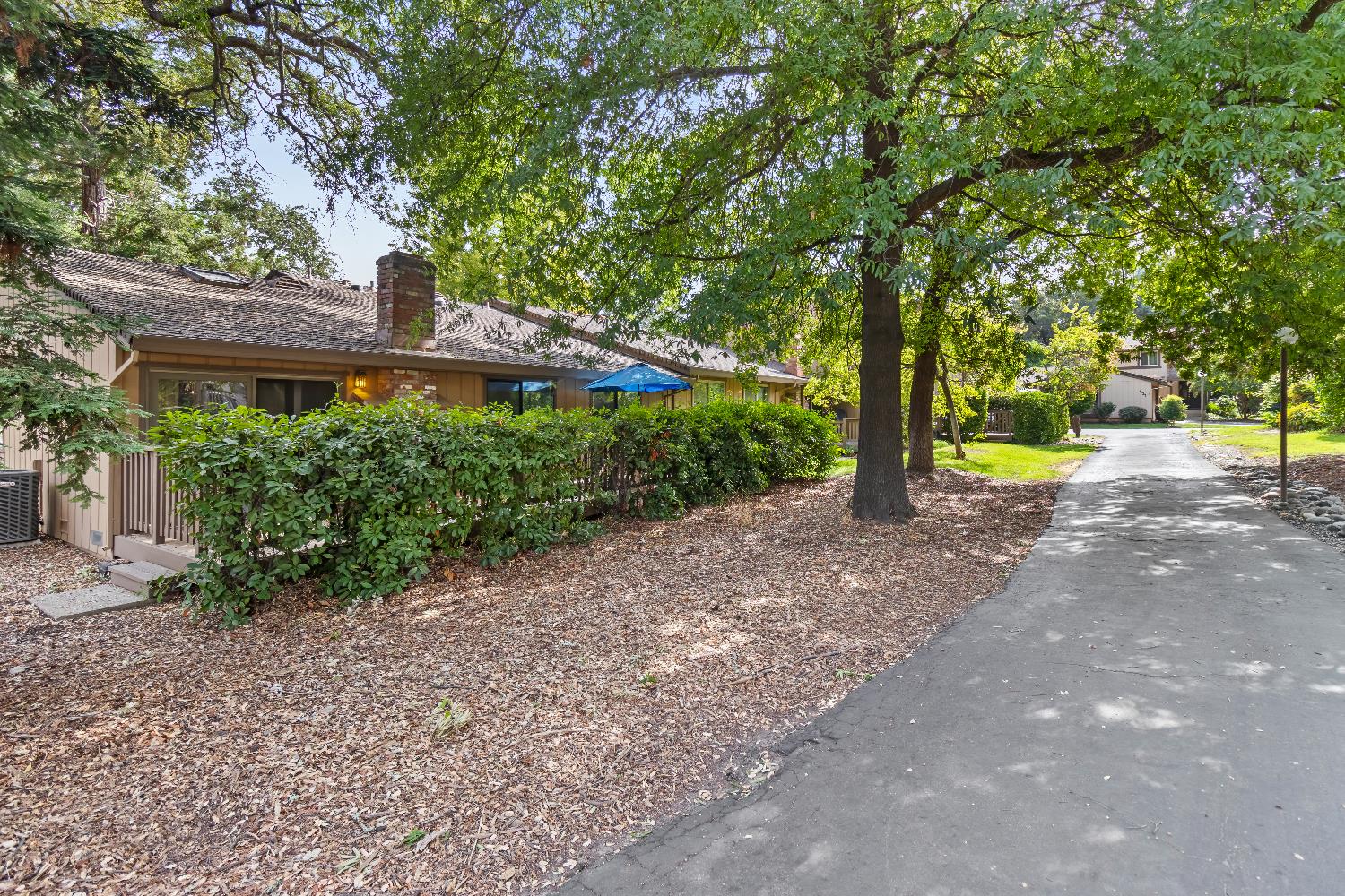 6543 Crosswoods Circle Citrus Heights, CA 95621 - Photo 29 of 33 a view of a yard with plants and large trees