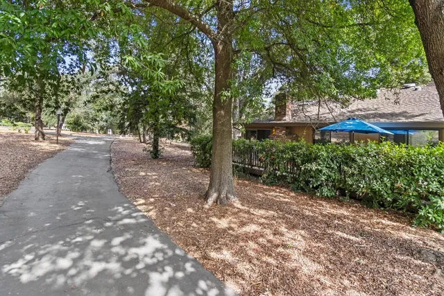 a view of a house with a tree