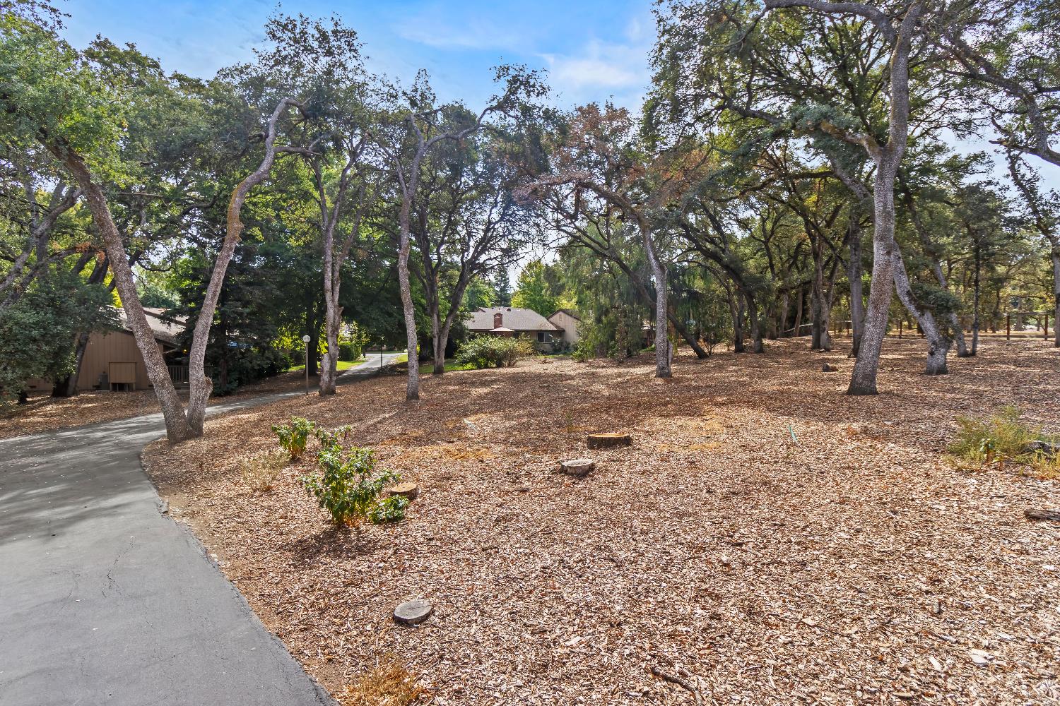 6543 Crosswoods Circle Citrus Heights, CA 95621 - Photo 33 of 33 a backyard of a house with lots of green space