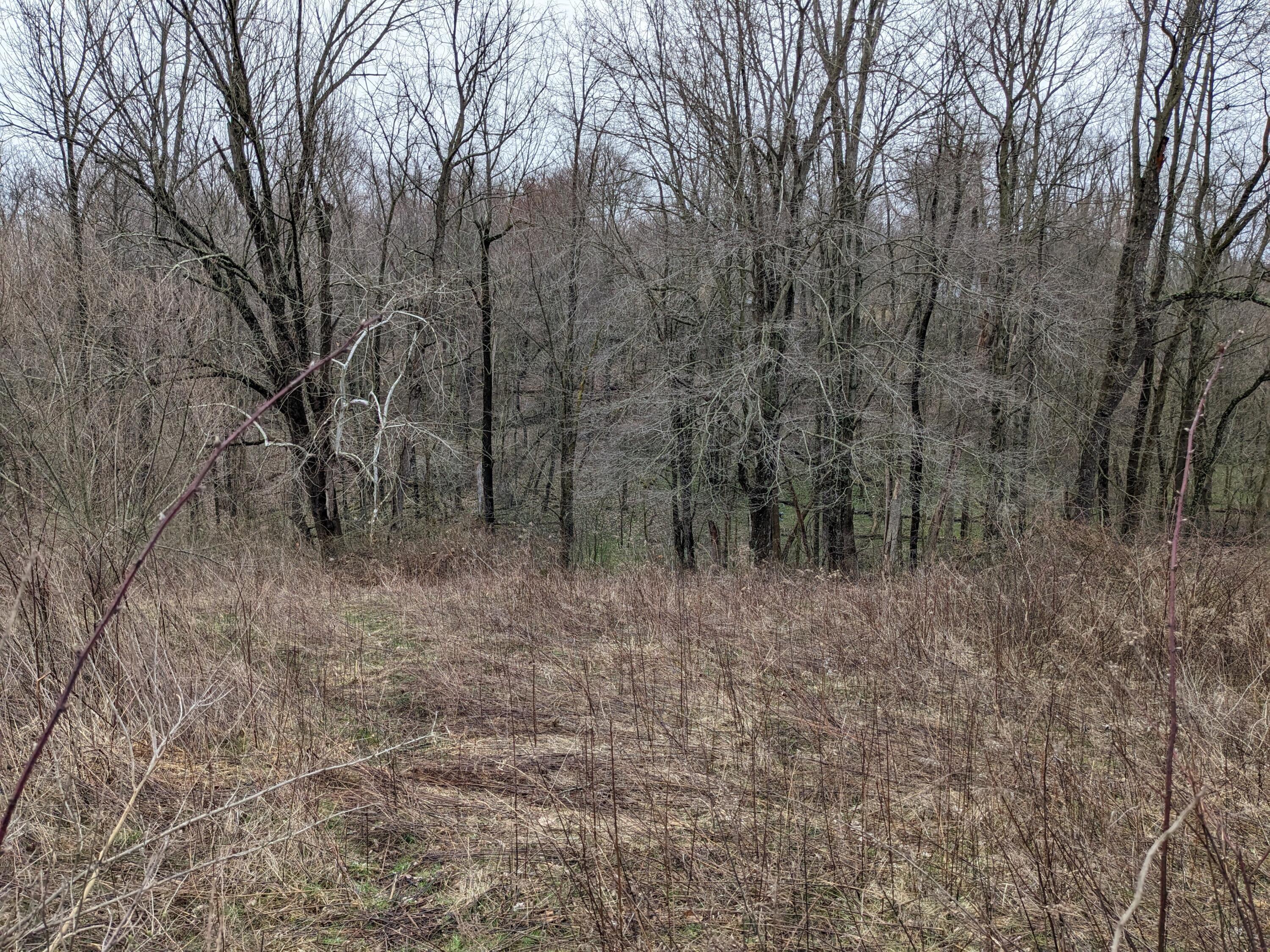 25140 Weber Road Howard, OH 43028 - Photo 19 of 22 19