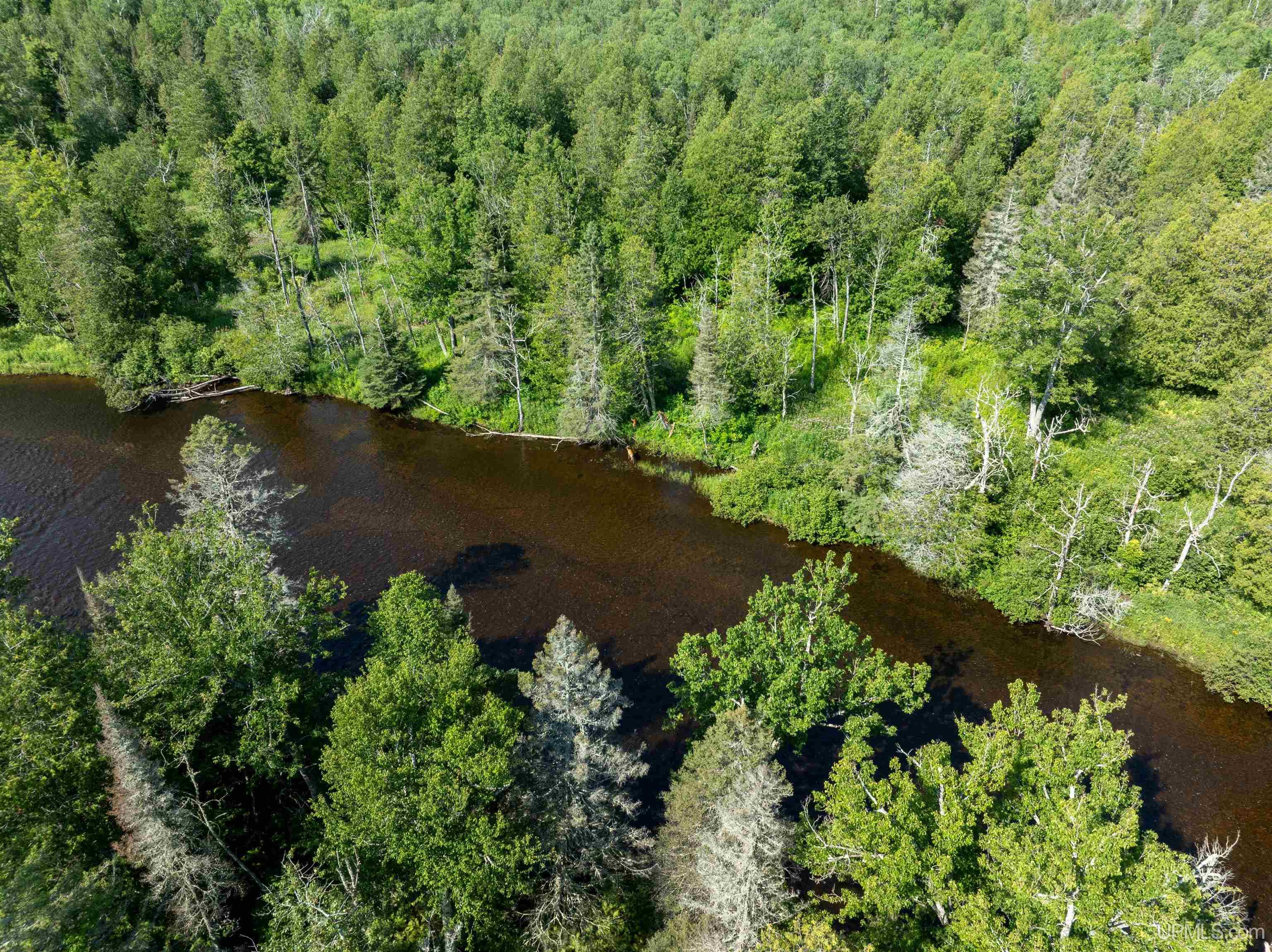 75 Rd Rapid River Munising, MI 49862 - Photo 40 of 48