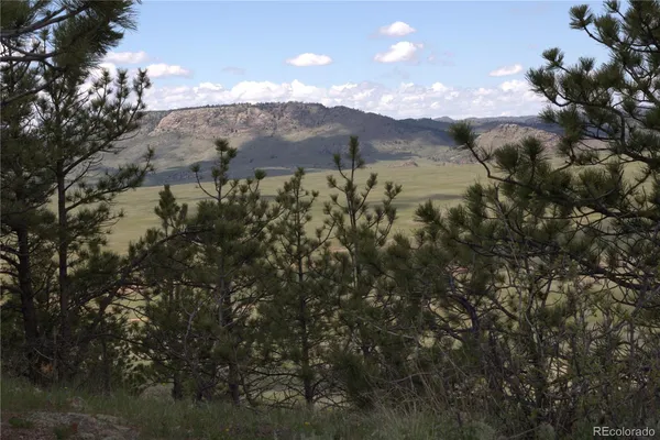 $535,000 | 1209 Linecamp Drive, Livermore, CO 80536