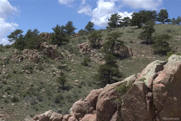 $535,000 | 1209 Linecamp Drive, Livermore, CO 80536