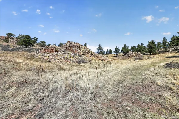 $535,000 | 1209 Linecamp Drive, Livermore, CO 80536