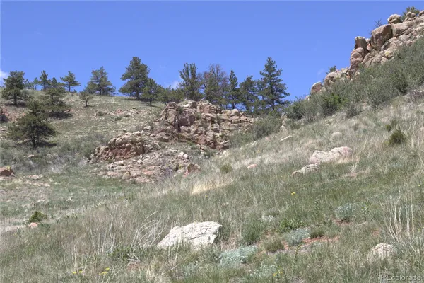 $535,000 | 1209 Linecamp Drive, Livermore, CO 80536