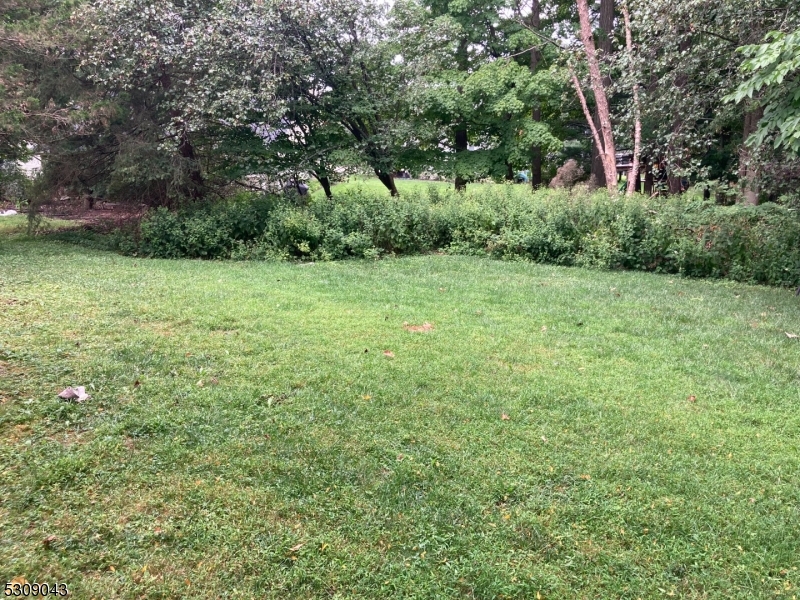 150 Smoke Rise Road Bedminster, NJ 07921 - Photo 47 of 47