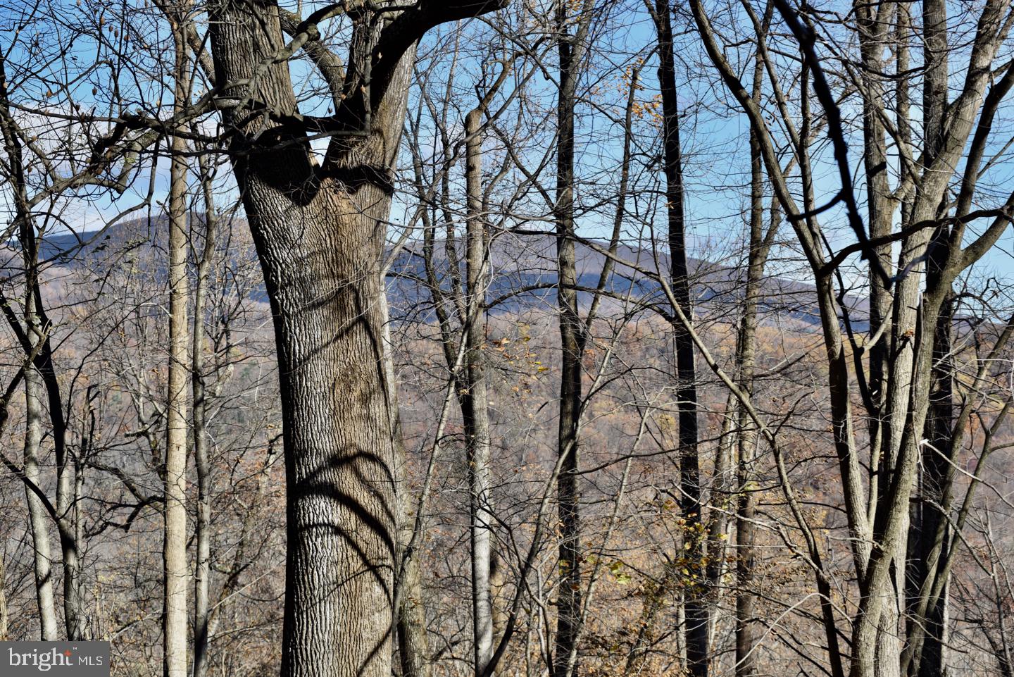 670 Keyser Run Road Washington, VA 22747 - Photo 27 of 30 Though the Trees