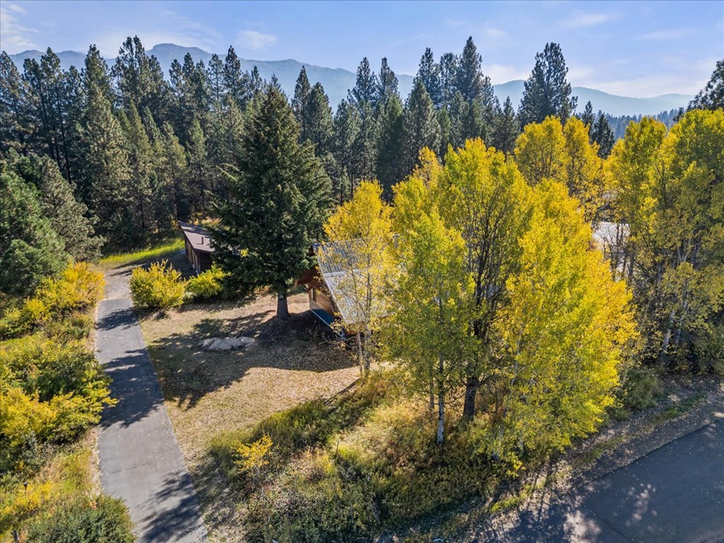 13982 Comfort Road McCall, ID 83638 - Photo 49 of 61