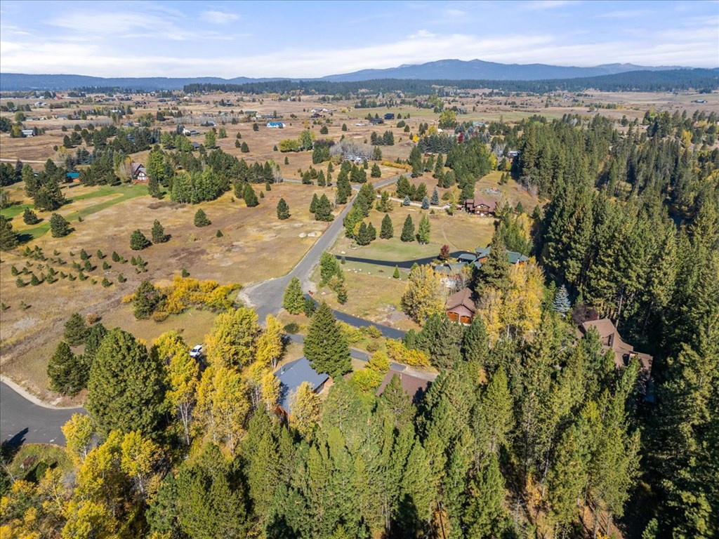 13982 Comfort Road McCall, ID 83638 - Photo 53 of 61