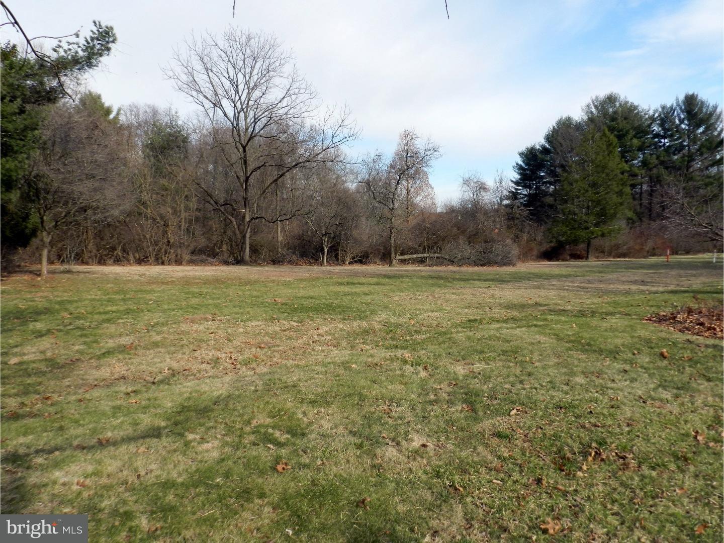 2064 Dutton Mill Road Newtown Square, PA 19073 - Photo 17 of 20 Back Yard