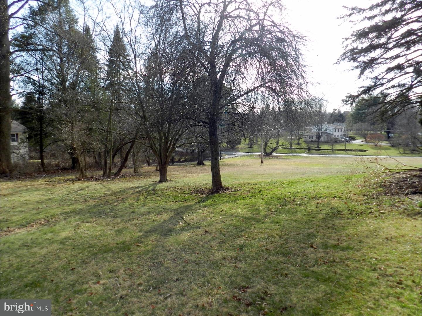 2064 Dutton Mill Road Newtown Square, PA 19073 - Photo 19 of 20 Side Yard
