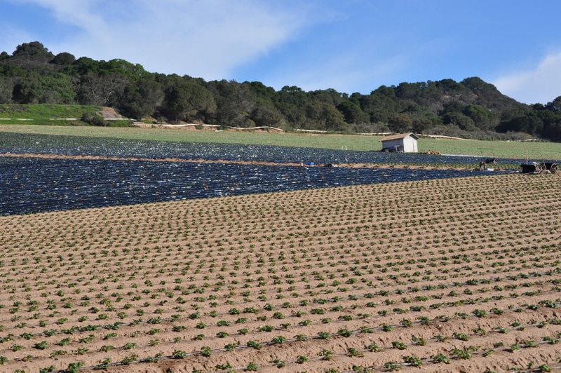527 Pini Road Watsonville, CA 95076 - Photo 2 of 27 Gallery Image 2
