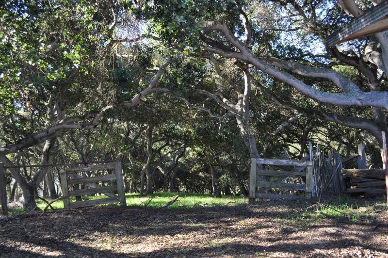 527 Pini Road Watsonville, CA 95076 - Photo 23 of 27 Gallery Image 23
