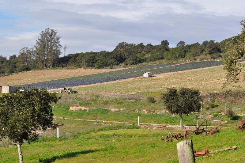 527 Pini Road Watsonville, CA 95076 - Photo 3 of 27 Gallery Image 3