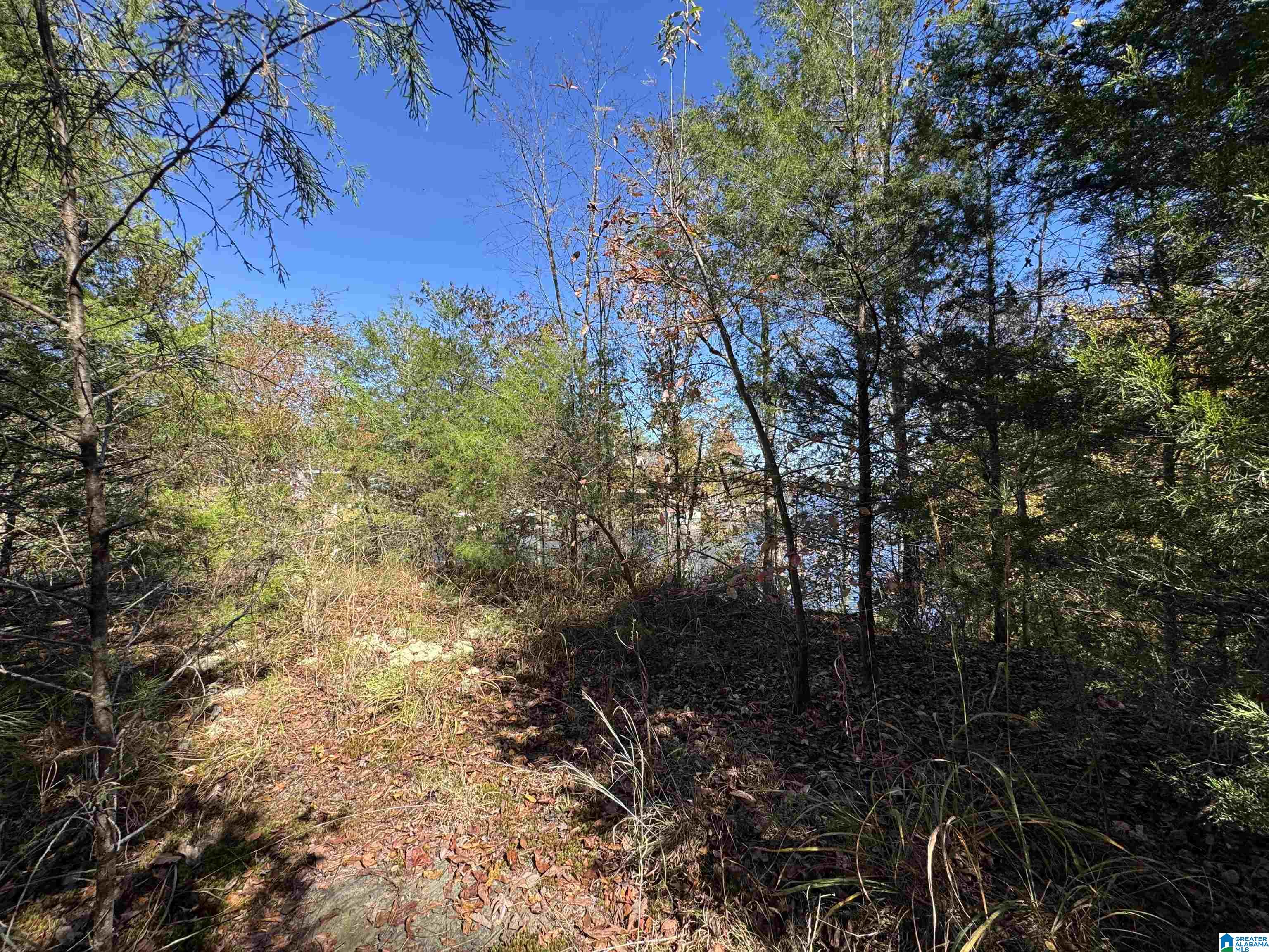 261 County Road Clanton, AL 35046 - Photo 4 of 8
