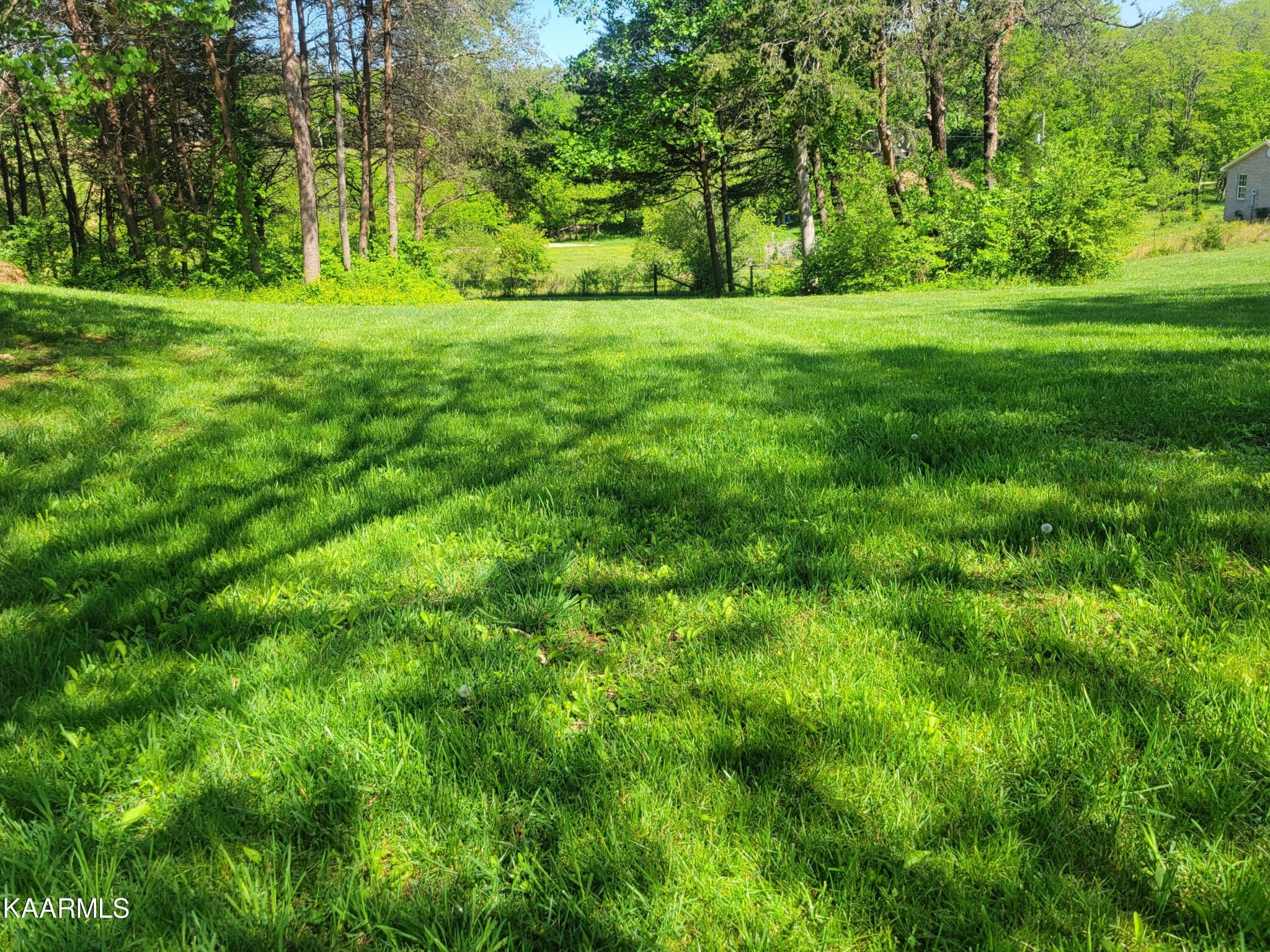 4943 Morganton Road Greenback, TN 37742 - Photo 47 of 48 Gallery Image 47