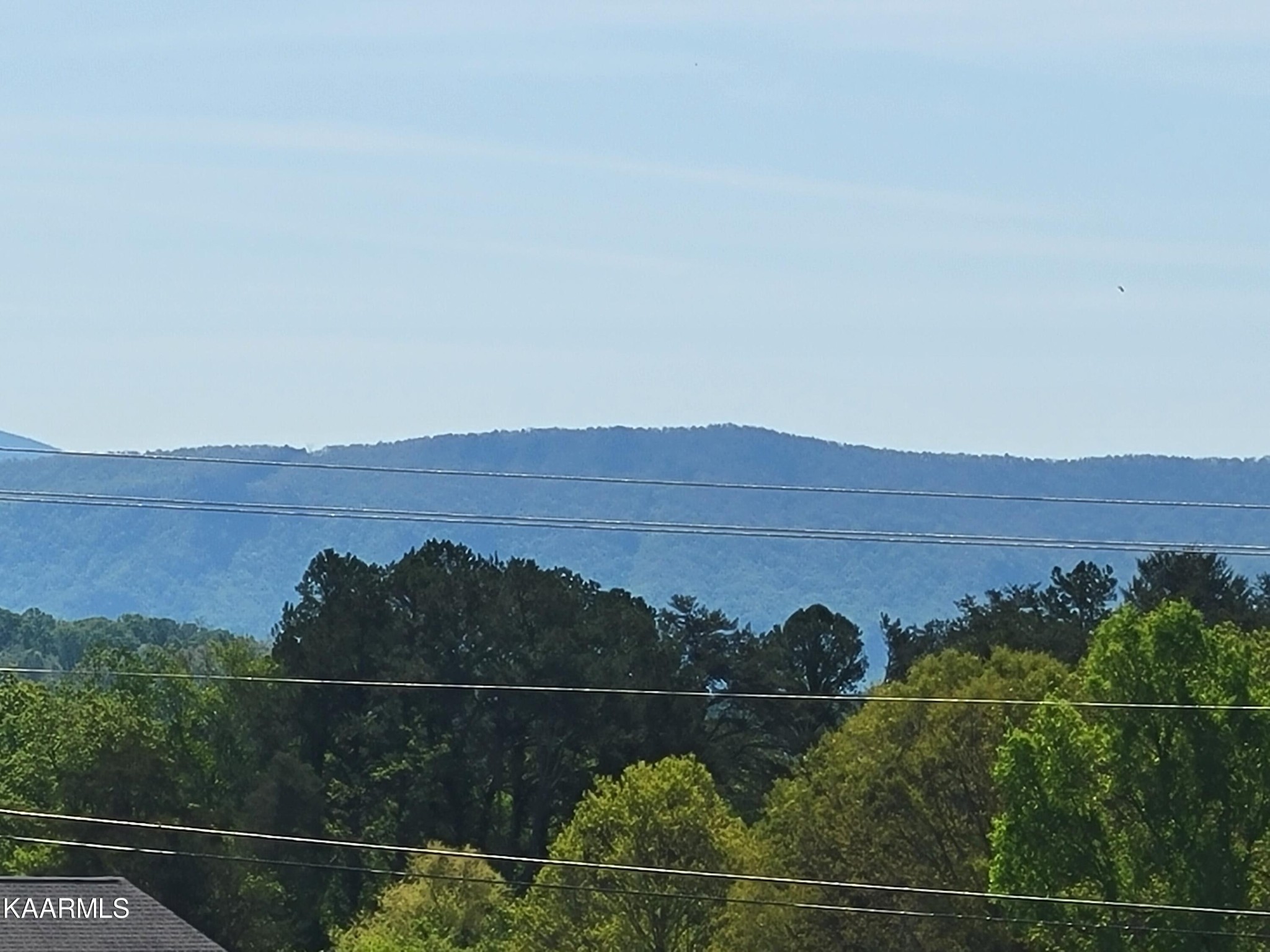 4943 Morganton Road Greenback, TN 37742 - Photo 7 of 48 Gallery Image 7