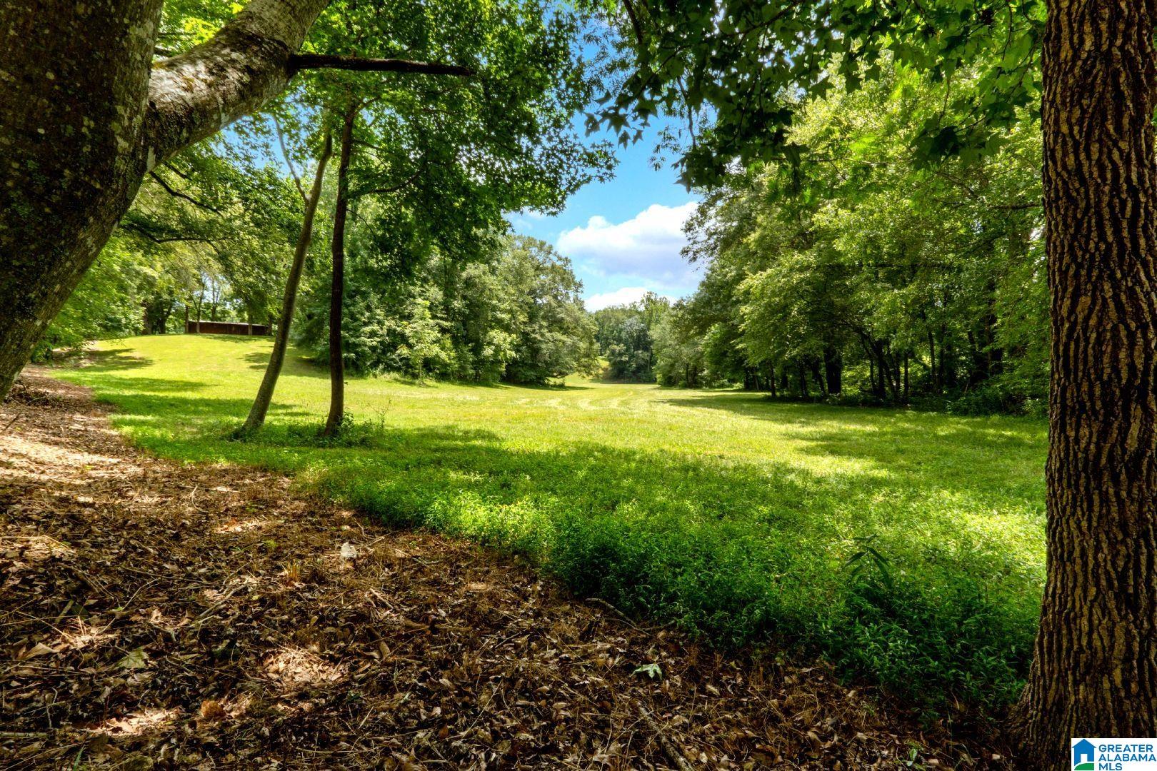 1420 Pepper Road Ashland, AL 36251 - Photo 56 of 68