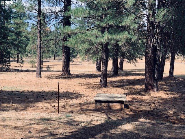 290 Box Canyon Road Goldendale, WA 98620 - Photo 31 of 32 Gallery Image 31