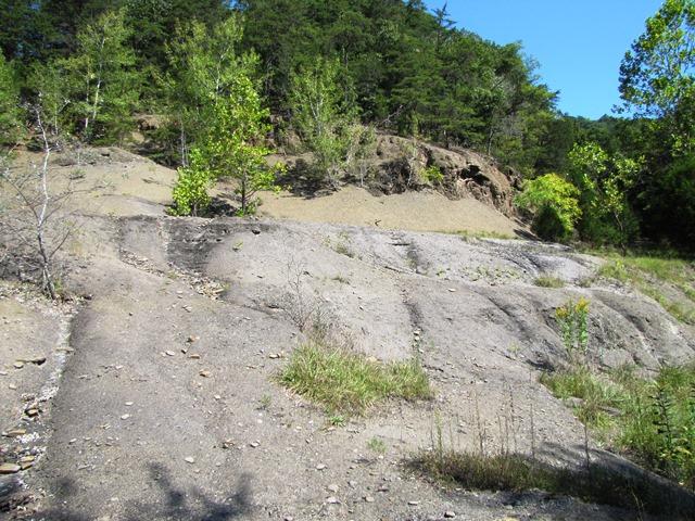 2402 Lillydale-Back Creek Road Union, WV 24983 - Photo 13 of 49 Gallery Image 13
