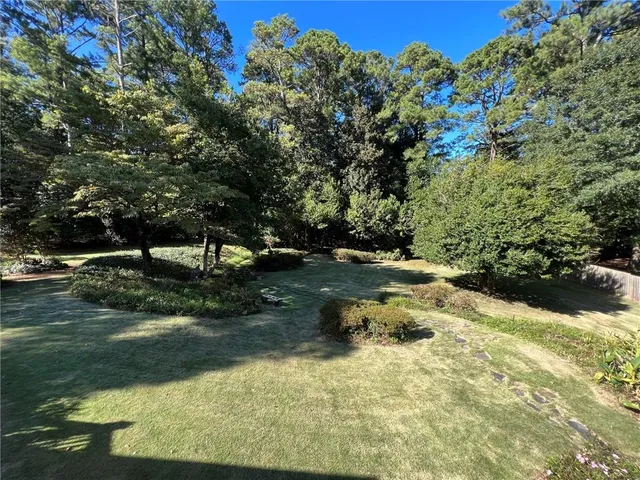 a view of backyard with green space