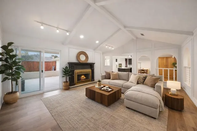 a living room with furniture a fireplace and a potted plant