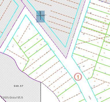 L4 Olean Street Schenectady, NY 12306 - Photo 4 of 4 tax map Olean St