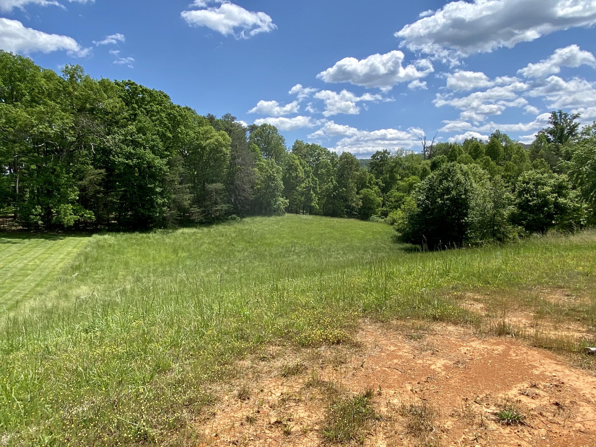 0 Robert Ridge Road Sevierville, TN 37862 - Photo 3 of 10 Gallery Image 3