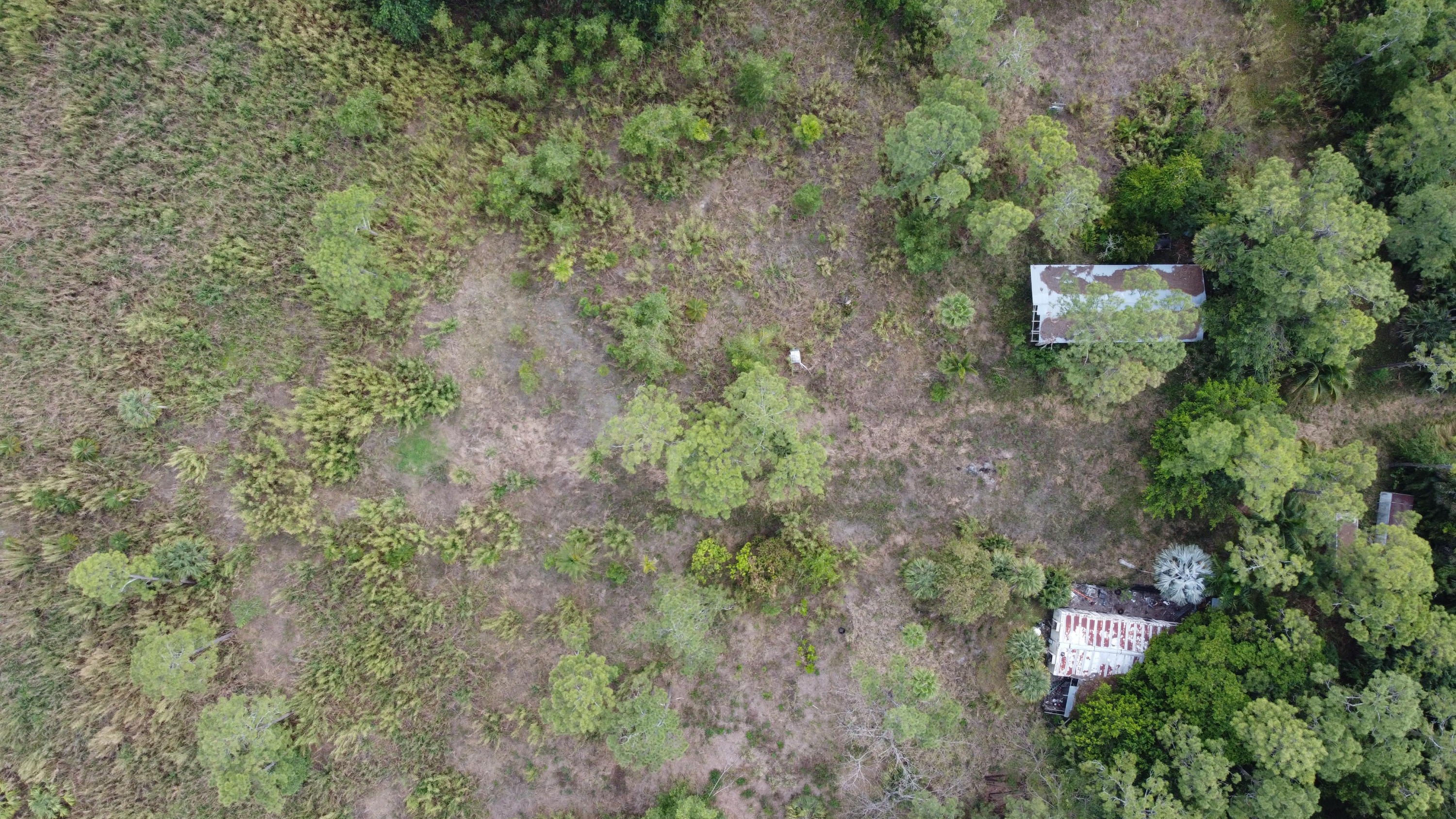 2310 A Road Loxahatchee, FL 33470 - Photo 9 of 15 A Rd 8
