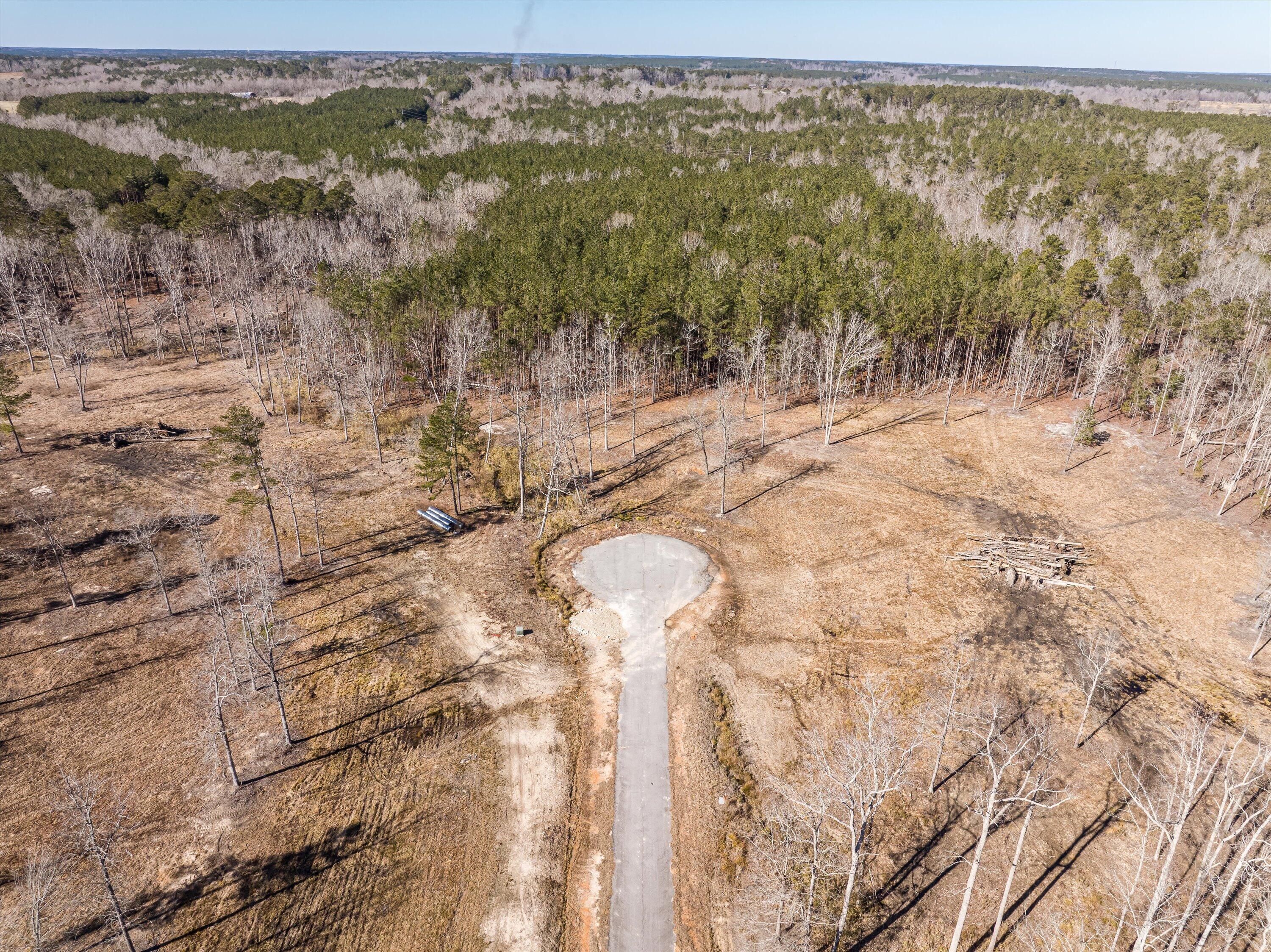 170 Alcovy Road Thomson, GA 30824 - Photo 1 of 5 18-DJI_0647-HDR