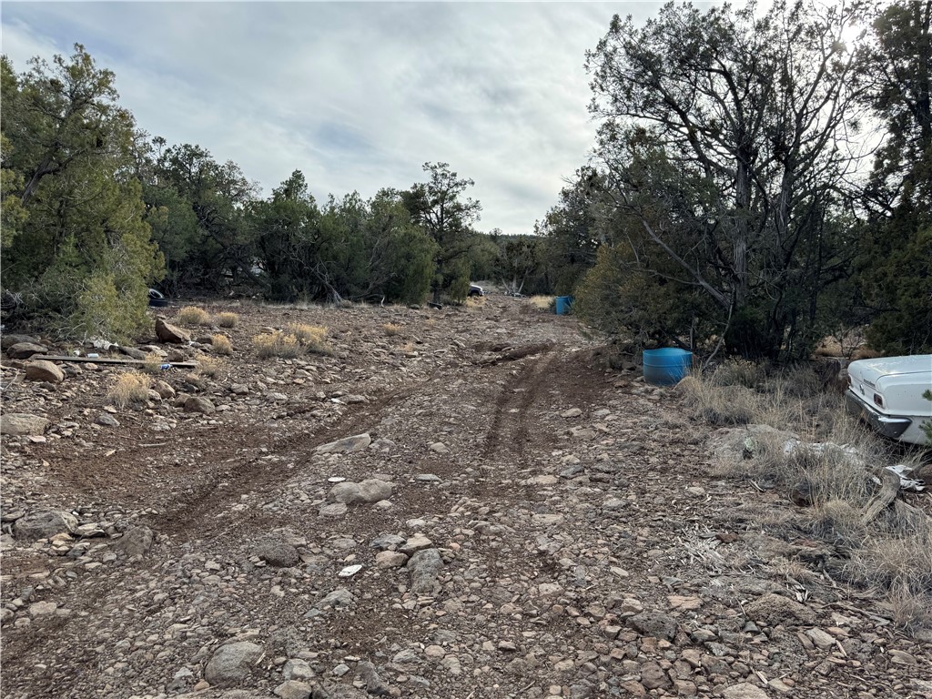 34745 West Running Shadow Road Seligman, AZ 86337 - Photo 49 of 52