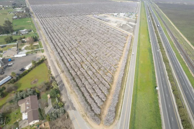 a bird view of an umbrella