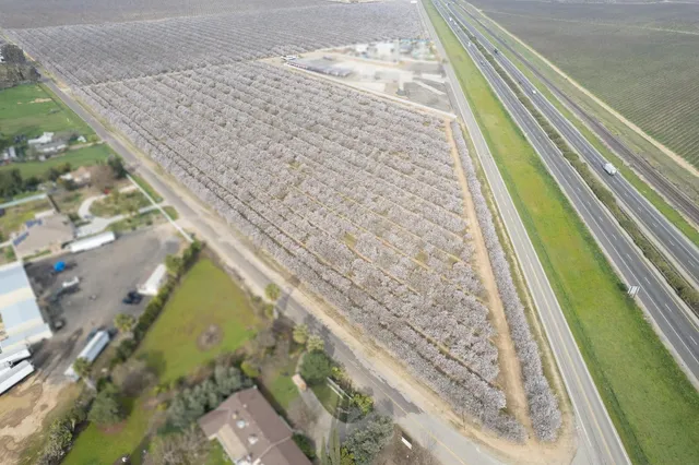 a view of swimming pool with a yard