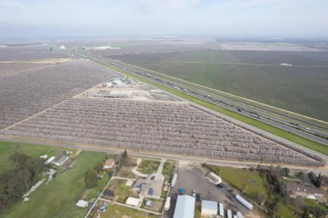 a view of a dry field with trees in the background
